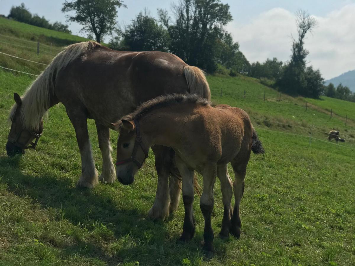 Chata Pod Górką Wisła Exterior foto